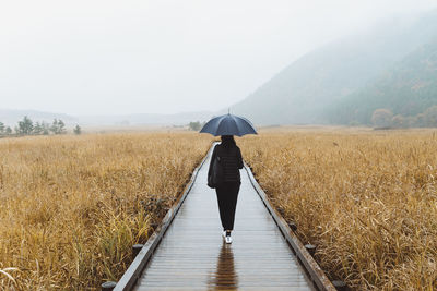 Rear view of woman with umbrella walking on wet boardwalk during rainy season