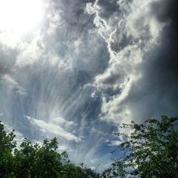 Low angle view of trees against cloudy sky