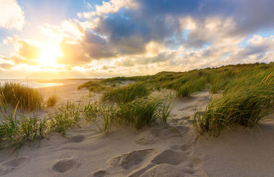 Scenic view of beach against sky during sunset