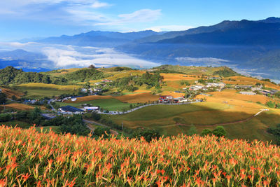 Scenic view of field against sky