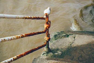 High angle view of rope on rock in sea