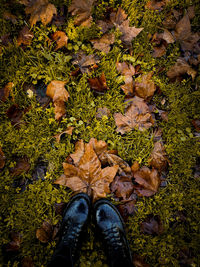 Low section of person standing on autumn leaves