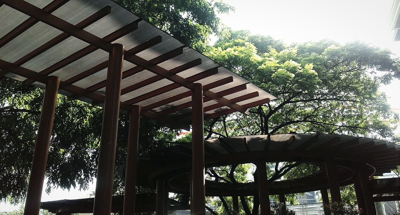 tree, built structure, architecture, low angle view, wood - material, growth, architectural column, day, sky, no people, nature, tranquility, outdoors, gazebo, column, green color