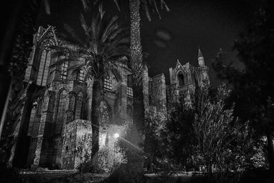 Low angle view of trees at night