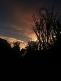 Silhouette of bare trees against sky at sunset