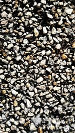 Full frame shot of pebbles