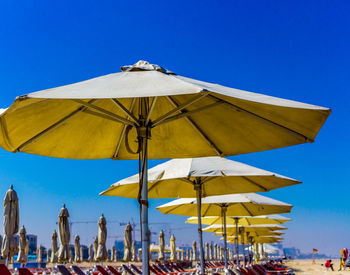 Parasols and lounge chairs at beach against clear blue sky