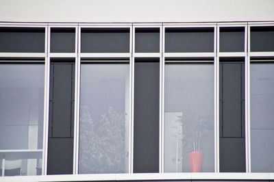 Low angle view of building window