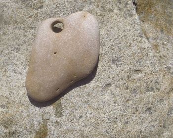 Close-up of crab on sand