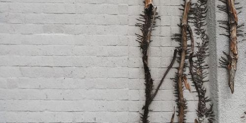 Full frame shot of wall