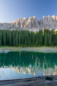 Reflection of trees and snow covered mountains in lake against clear sky