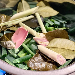 High angle view of vegetables in plate