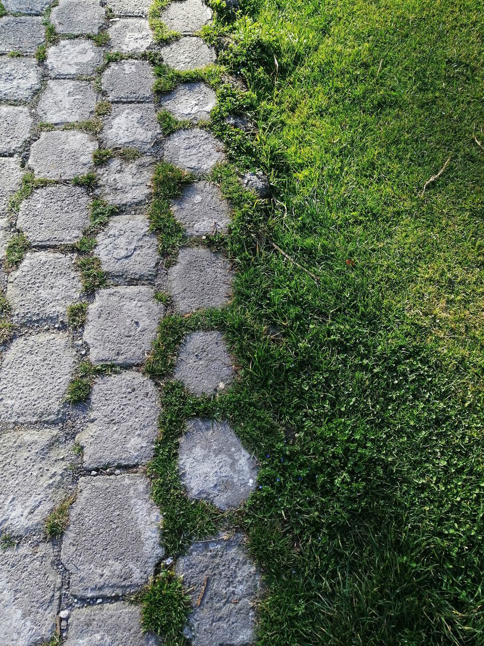 HIGH ANGLE VIEW OF FOOTPATH