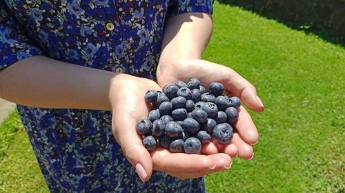 Girl holding blueberries in her hands on the background of the lawn