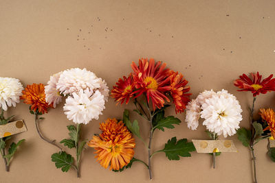 Close-up of flowers on wall