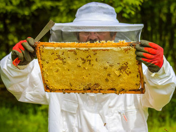 Beekeepers holding beehives at farm