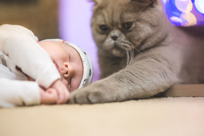 Close-up of cat sitting by baby boy sleeping on rug at home