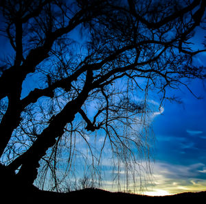 Low angle view of silhouette bare tree against sky at sunset