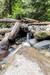 Stream flowing through rocks in forest