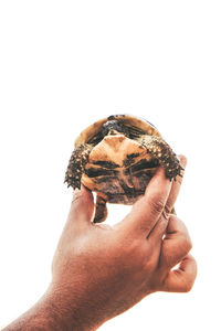 Close-up of man holding hands over white background