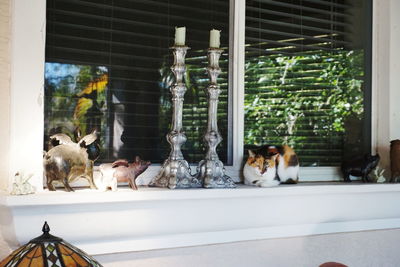 View of cat sitting on window