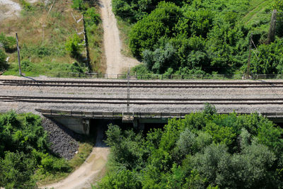 Railway tracks amidst trees