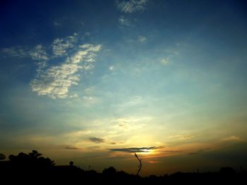 Low angle view of silhouette trees against sky