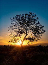 Silhouette tree against sky during sunset