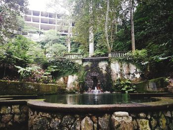 Fountain in lake against trees in forest