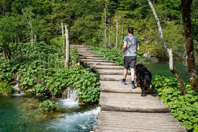 Rear view of man with dog on footbridge in forest