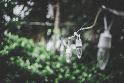 Close-up of light bulb hanging on cable