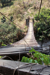 Footbridge amidst plants and trees
