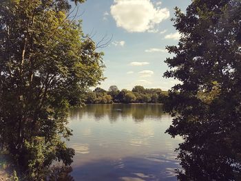 Reflection of trees in lake against sky