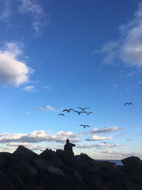 Low angle view of seagulls flying against sky