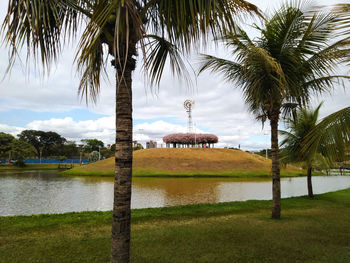 Palm trees by lake against sky