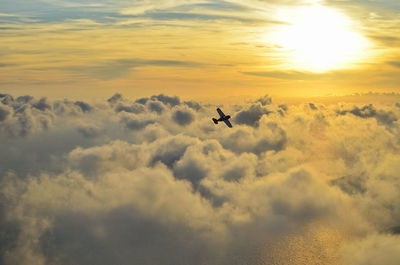 Low angle view of airplane flying in sky