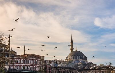 Low angle view of seagulls flying in city