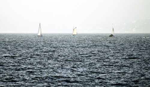 Sailboat sailing on sea against sky