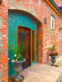 Potted plants outside house