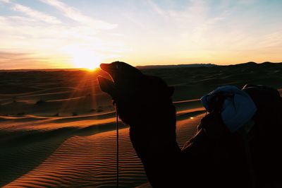 Man photographing at sunset