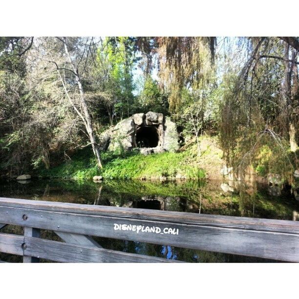 tree, forest, tranquility, water, nature, tranquil scene, growth, green color, built structure, beauty in nature, connection, mountain, day, scenics, transfer print, river, auto post production filter, bridge - man made structure, lush foliage, architecture