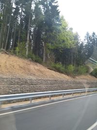 Road amidst trees in forest