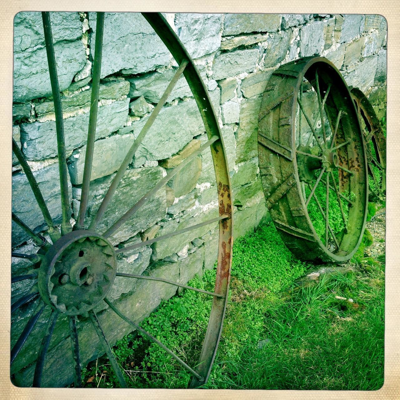 transfer print, auto post production filter, grass, plant, bicycle, metal, close-up, green color, wheel, rusty, old, day, transportation, growth, outdoors, abandoned, high angle view, no people, land vehicle, water