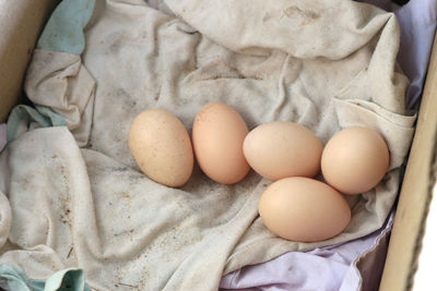 High angle view of eggs in container