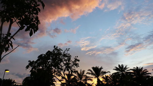 Low angle view of trees against cloudy sky