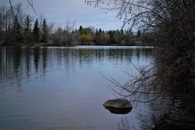 Reflection of trees in lake