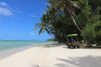 Scenic view of palm trees on beach against sky