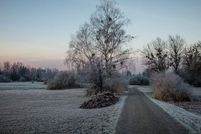 Road amidst bare trees against sky