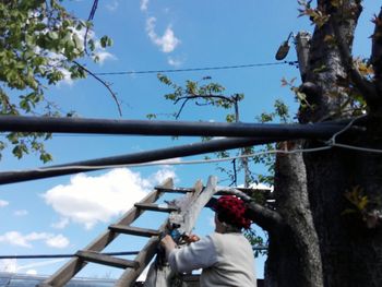 Low angle view of man photographing against sky