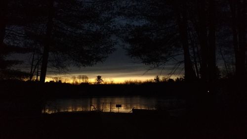 Silhouette of trees at sunset